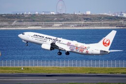 BOEING 737-800 JAL JA329J おめでとう！世界文化遺産登録 JAL、奄美・沖縄の世界遺産登録祝う特別塗装機就航 希少動物の