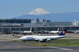航空フォト：D-ABYM ルフトハンザドイツ航空 747-8