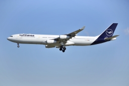 あおいそらさんが、フランクフルト国際空港で撮影したルフトハンザドイツ航空 A340-313Xの航空フォト（飛行機 写真・画像）