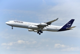 あおいそらさんが、フランクフルト国際空港で撮影したルフトハンザドイツ航空 A340-313Xの航空フォト（飛行機 写真・画像）