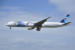 あおいそらさんが、フランクフルト国際空港で撮影したエジプト航空 777-36N/ERの航空フォト（飛行機 写真・画像）