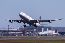 航空フォト：D-AIFF ルフトハンザドイツ航空 A340-300