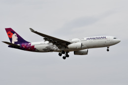 アルビレオさんが、成田国際空港で撮影したハワイアン航空 A330-243の航空フォト（飛行機 写真・画像）