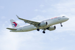 apphgさんが、静岡空港で撮影した中国東方航空 A320-251Nの航空フォト（飛行機 写真・画像）