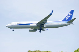 apphgさんが、静岡空港で撮影した全日空 737-8ALの航空フォト（飛行機 写真・画像）
