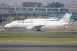 スターアライアンス (ホワイト)」特別塗装機 シンガポール航空