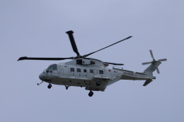 1/350 アグスタ ウェストランド AW-101/EH-101 AGUSTAWESTLAND AW101 EH101 HELICOPTER YELLOW 