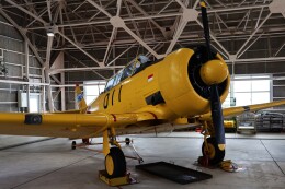 k-spotterさんが、静浜飛行場で撮影した航空自衛隊 T-6F Texanの航空フォト（飛行機 写真・画像）
