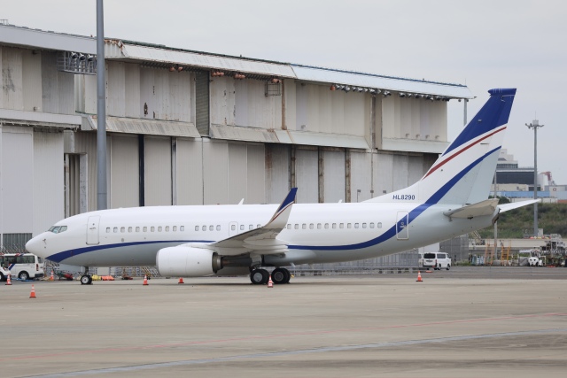 いとちゃんさんが、羽田空港で撮影した現代自動車 737-7GE(BBJ)の航空フォト（飛行機 写真・画像）