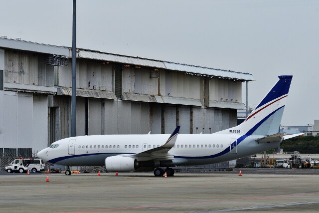 knock1950さんが、羽田空港で撮影した現代自動車 737-7GE(BBJ)の航空フォト（飛行機 写真・画像）
