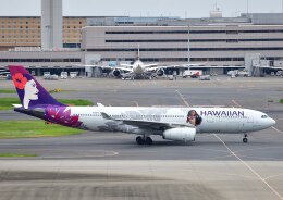 じーく。さんが、羽田空港で撮影したハワイアン航空 A330-243の航空フォト（飛行機 写真・画像）