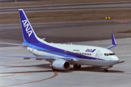 メルシーボクーさんが、中部国際空港で撮影した全日空 737-781の航空フォト（飛行機 写真・画像）