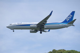 apphgさんが、静岡空港で撮影した全日空 737-881の航空フォト（飛行機 写真・画像）