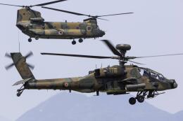 てくろくさんが、高遊原分屯地で撮影した陸上自衛隊 AH-64Dの航空フォト（飛行機 写真・画像）
