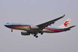 中国東方航空　A330-300  特別塗装機 中国東方航空 A330-300 特別塗装機 - メルカリ