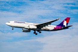 矢塚秀さんが、羽田空港で撮影したハワイアン航空 A330-243の航空フォト（飛行機 写真・画像）