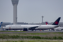 狛犬さんが、羽田空港で撮影したエア・カナダ 777-333/ERの航空フォト（飛行機 写真・画像）