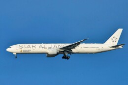 シンガポール航空　B777-300 特別塗装機 スターアライアンス (ホワイト)」特別塗装機 シンガポール航空