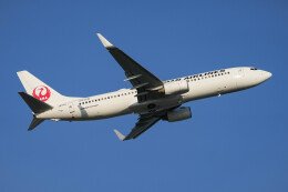 【通常塗装】JAL 日本航空 737-800 JA317J 通常塗装】JAL 日本航空 737-800 JA317J ph 1/400 - メルカリ