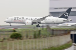 Ｂ787-8模型　air india star alliance特別塗装機 B787-8 エアインディア スターアライアンス塗装 飛行姿勢
