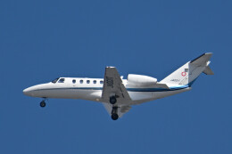 シグナス021さんが、羽田空港で撮影したコーナン商事 525A Citation CJ2の航空フォト（飛行機 写真・画像）