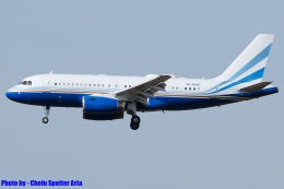 Chofu Spotter Ariaさんが、成田国際空港で撮影したラスベガス サンズ A319-133CJの航空フォト（飛行機 写真・画像）