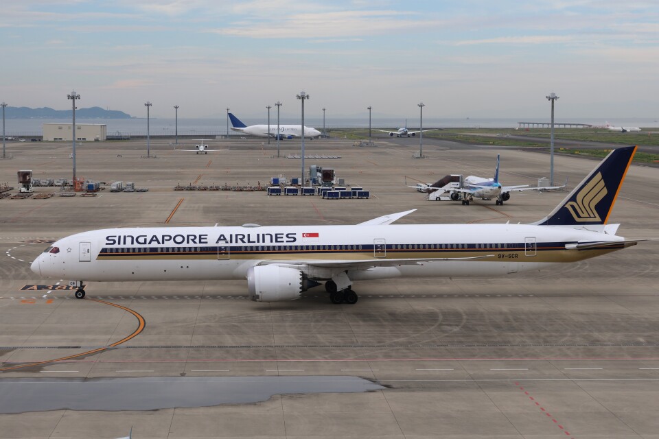 ripiさん用! シンガポール航空／+オレンジほぬ ripiさん用! シンガポール航空／+オレンジほぬ - メルカリ
