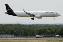 航空フォト：D-AIEA ルフトハンザドイツ航空 A321neo