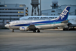 JA01AN / JA874A あさひろ NQ40113 全日空商事特注品 Air Japan / エアージャパン B787-8