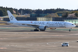 スターアライアンス (ホワイト)」特別塗装機 シンガポール航空
