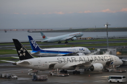 あ*ゆ様 1/200 ANA B787-9 スターアライアンス塗装 JA899A あ*ゆ様 1/200 ANA B787-9 スターアライアンス塗装 JA899A あ*ゆ