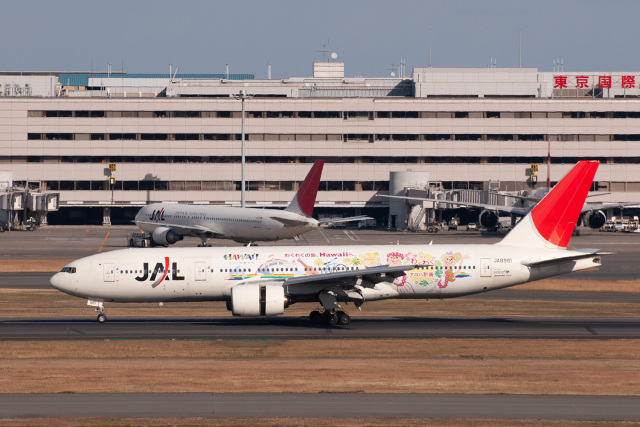 機体記号 : JA8981 (JAL) 航空機体ガイド | FlyTeam(フライチーム)