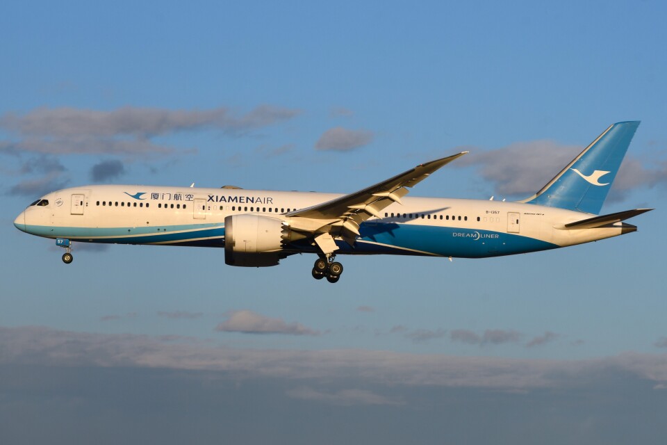 航空機・ヘリコプター B 787-9 人気ブラドン お取り寄せ商品】1/200 787-9 C FLAG」 THE エア