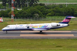 アイベックスエアラインズ (IBEX) 特別塗装機 | FlyTeam(フライ