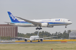 機体記号 : JA802A (ANA) 航空フォト(飛行機 写真・画像