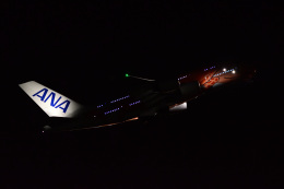 kamakiページ  ホヌ✕3機 フライングホヌ ラー/3号機」特別塗装機 全日空 (A380 | JA383A