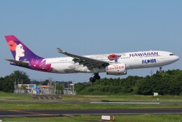 電車の運転士さんが、成田国際空港で撮影したハワイアン航空 A330-243の航空フォト（飛行機 写真・画像）