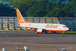 【値下げしました】JEJUAIR x BIGBNG特別塗装機 チェジュ航空 特別塗装機 | FlyTeam(フライチーム)