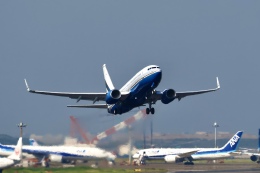 chikoさんが、羽田空港で撮影したラスベガス サンズ 737-75T BBJの航空フォト（飛行機 写真・画像）