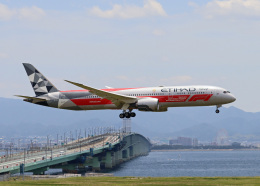 超レア‼️エディハド航空　A340-600 2017 F1アブダビGP特別塗装機❣️ 超レア‼️エディハド航空 A340-600 2017 F1アブダビGP特別塗装機❣️