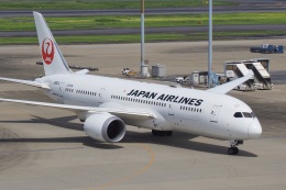 飛行機ゆうちゃんさんが、羽田空港で撮影した日本航空 787-8 Dreamlinerの航空フォト（飛行機 写真・画像）