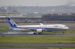 飛行機ゆうちゃんさんが、羽田空港で撮影した全日空 787-9の航空フォト（飛行機 写真・画像）