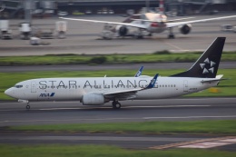 JFox 1/200 ANA 737-800 JA51ANスターアライアンス塗装 1/200 B737-800 ANA スタアラ/スターアライアンス塗装 JA51AN