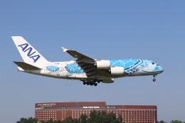kamakiページ  ホヌ✕3機 ANA A380フライング・ホヌ3号機がやってくる！いよいよ3機揃う