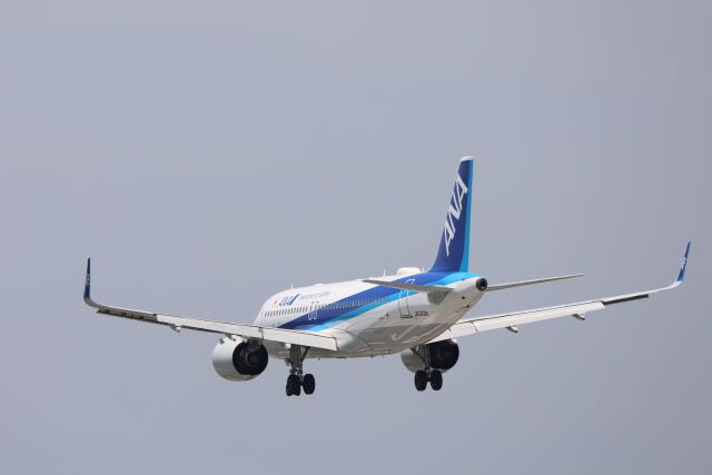 機体記号 : JA212A (ANA) 航空機体ガイド | FlyTeam(フライチーム)