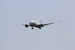 航空フォト：JA825J ジップエア 787-8 Dreamliner