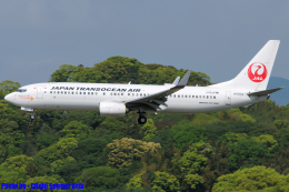 Chofu Spotter Ariaさんが、福岡空港で撮影した日本トランスオーシャン航空 737-846の航空フォト（飛行機 写真・画像）