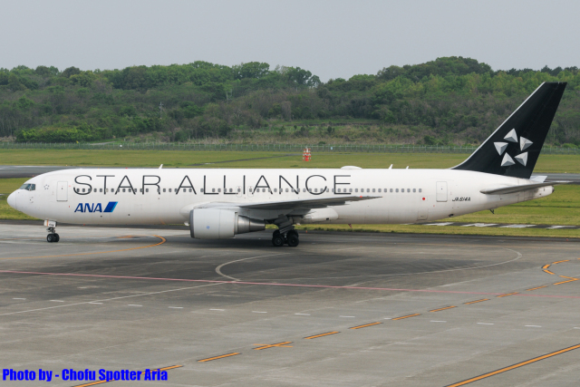 1/200 ANA B767-300ER スターアライアンス塗装 JA614A スターアライアンス」特別塗装機 全日空 (767-300 | JA614A