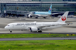航空機・ヘリコプター JAL B787-8 JA844J 航空機・ヘリコプター JAL B787-8 JA844J 1/400 JC wings JAL