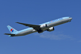 Frankspotterさんが、成田国際空港で撮影した大韓航空 777-3B5/ERの航空フォト（飛行機 写真・画像）